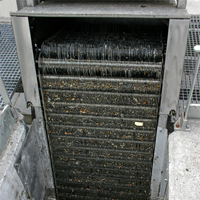 Sewage sludge in waste water treatment